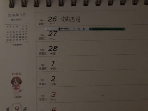 journal_insert_pic_978963177