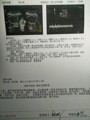 journal_insert_pic_982185962