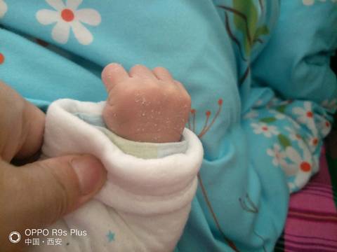 journal_insert_pic_982185781