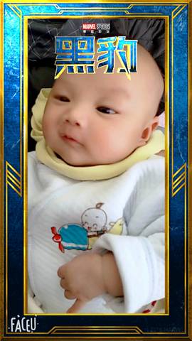 journal_insert_pic_982921758