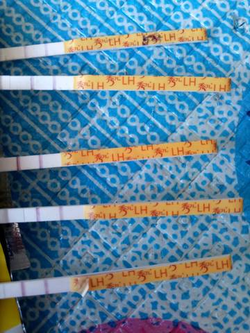 journal_insert_pic_984496294