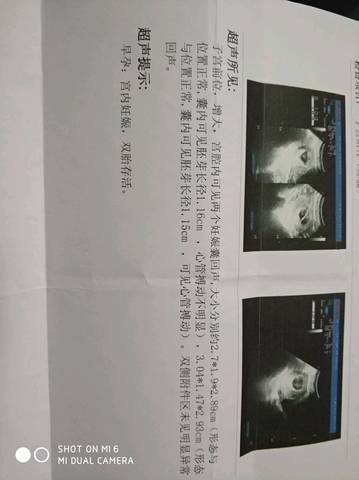 journal_insert_pic_984651716