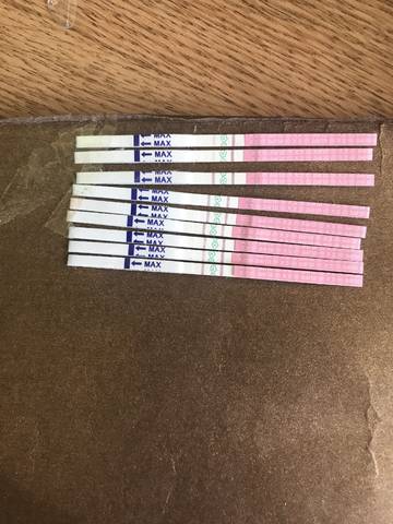 journal_insert_pic_985260275
