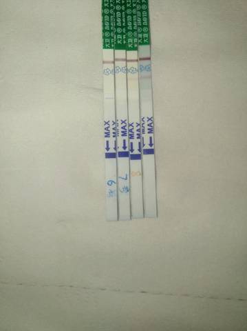 journal_insert_pic_985763192