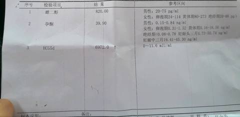 journal_insert_pic_986154824