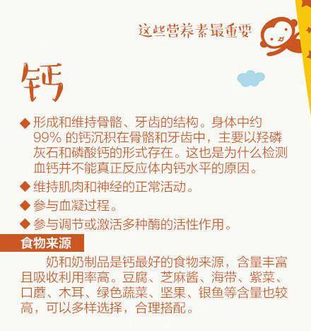 journal_insert_pic_987040102