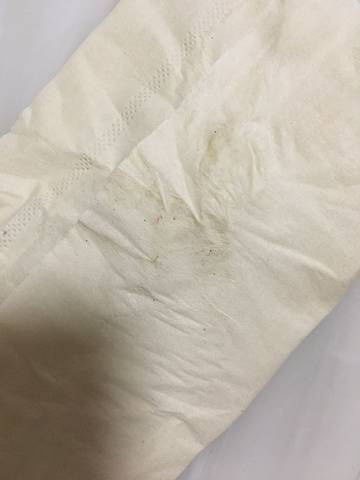 journal_insert_pic_986709401