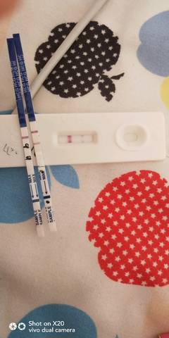 journal_insert_pic_986931130