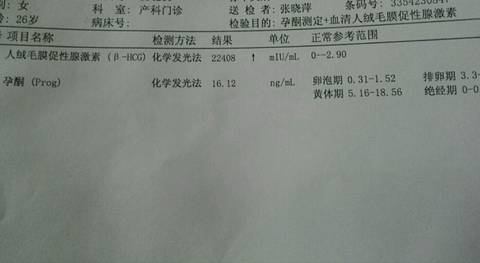 journal_insert_pic_987531503
