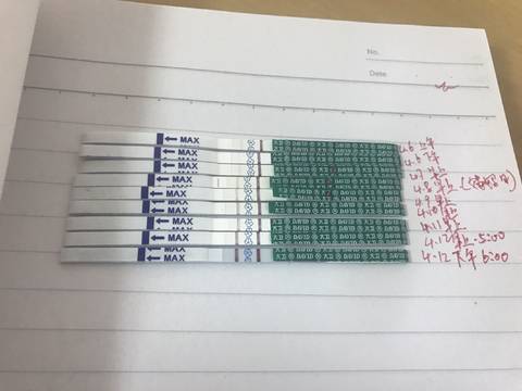 journal_insert_pic_988330529
