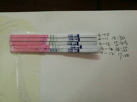 journal_insert_pic_988298461