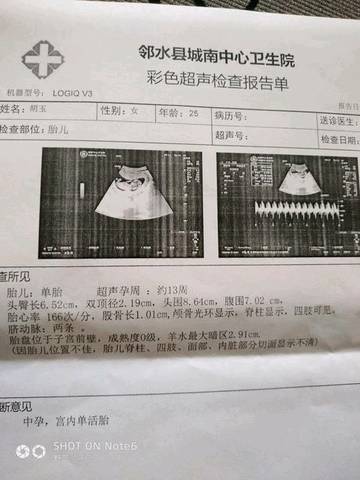journal_insert_pic_988829192