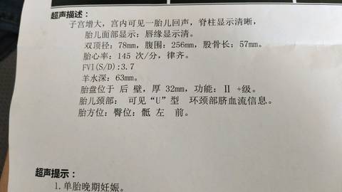 journal_insert_pic_988901536