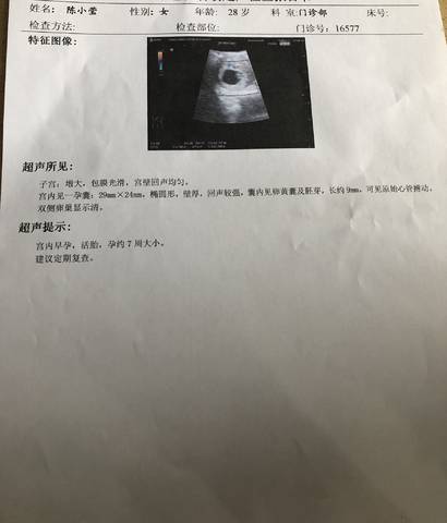 journal_insert_pic_988855953
