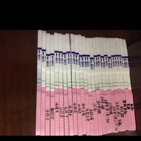 journal_insert_pic_989298239
