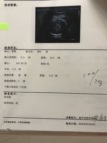 journal_insert_pic_989070030