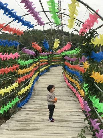 journal_insert_pic_989274180