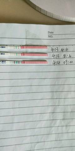 journal_insert_pic_989436692