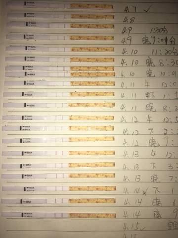 journal_insert_pic_989897603