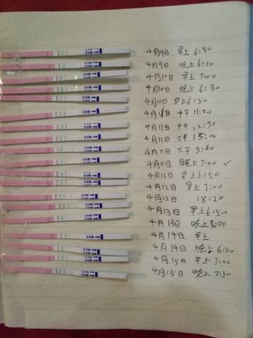 journal_insert_pic_990514259