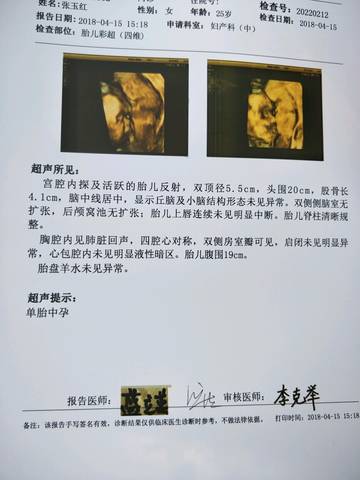 journal_insert_pic_990362815