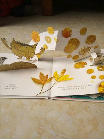 journal_insert_pic_990142864