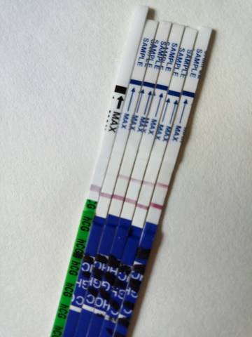 journal_insert_pic_990859533