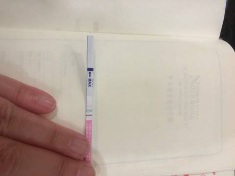 journal_insert_pic_991332047