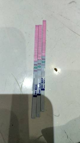 journal_insert_pic_991062575
