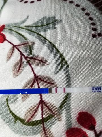 journal_insert_pic_990822395