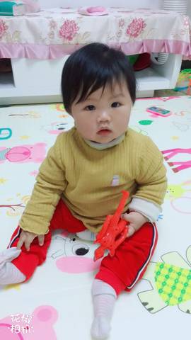 journal_insert_pic_991058647