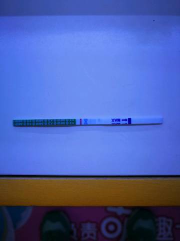 journal_insert_pic_992116132