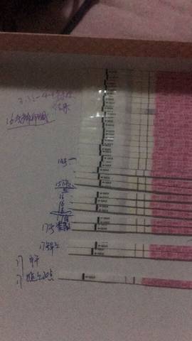 journal_insert_pic_992083770