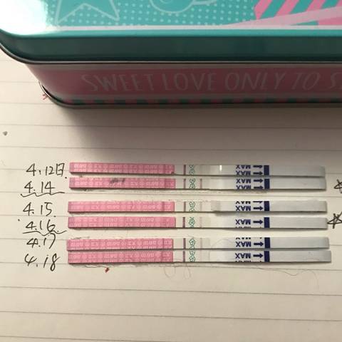 journal_insert_pic_992747952