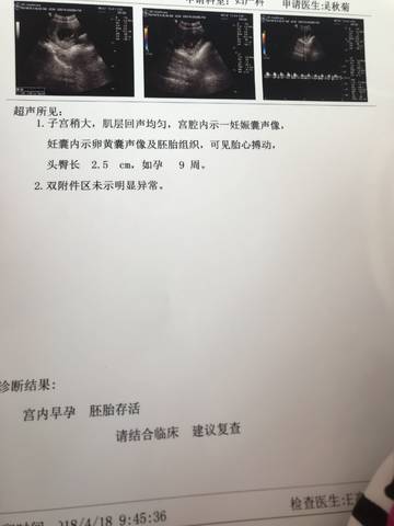 journal_insert_pic_992358879