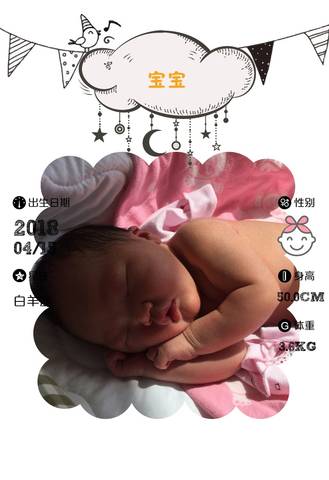 journal_insert_pic_992541346