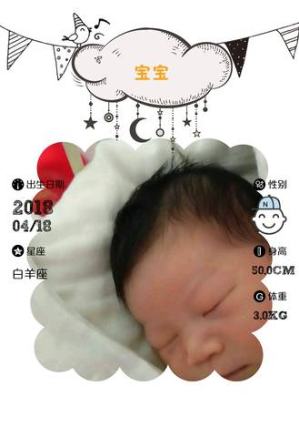 journal_insert_pic_993270937