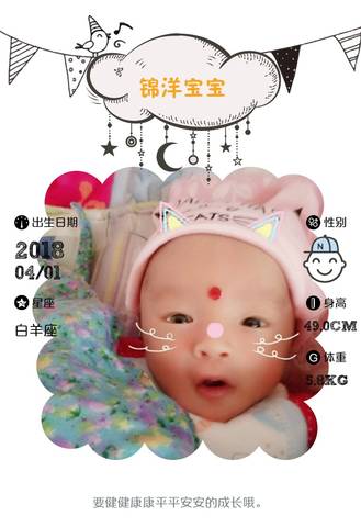 journal_insert_pic_993930471