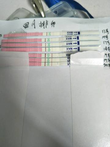 journal_insert_pic_993784711