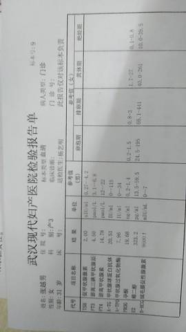 journal_insert_pic_993821719