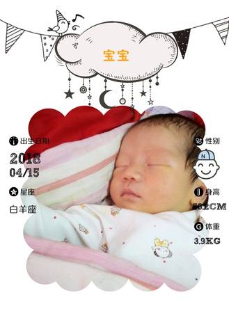 journal_insert_pic_993626128