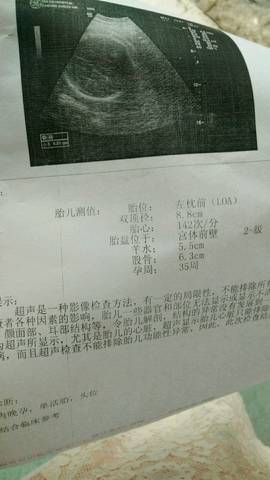 journal_insert_pic_995408360