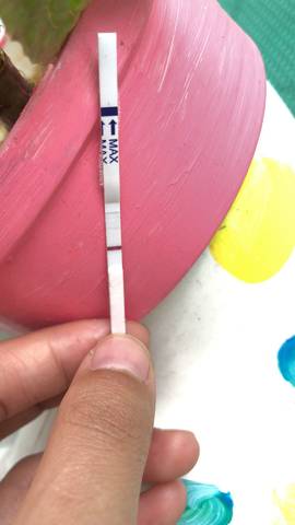 journal_insert_pic_995306224