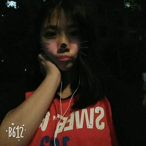journal_insert_pic_995511614
