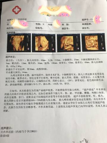 journal_insert_pic_996635218