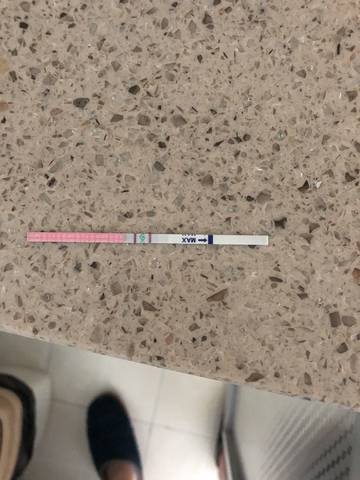 journal_insert_pic_998131362