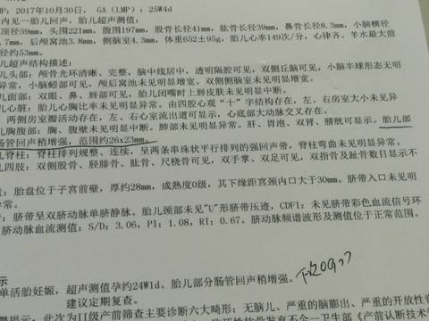 journal_insert_pic_998987069