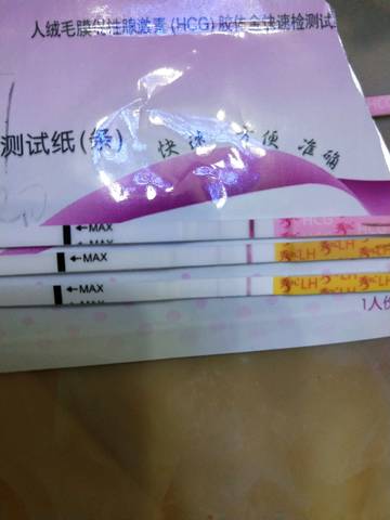 journal_insert_pic_999218172
