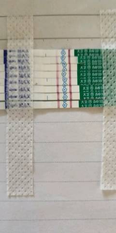 journal_insert_pic_998959056