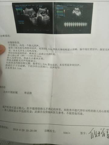 journal_insert_pic_1000464808